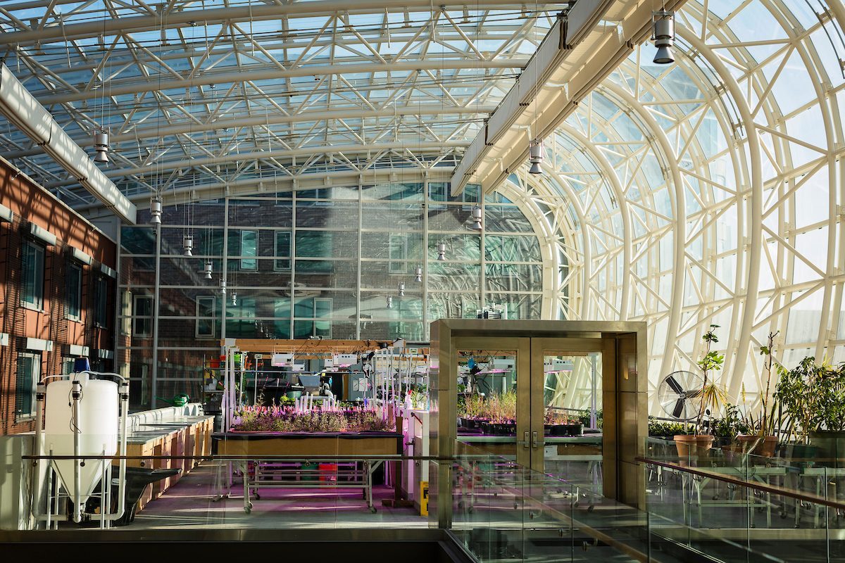 Former EPA Administrator Gina McCarthy was photographed at the Institute of Environmental Sustainability at Loyola University Chicago's Lake Shore campus on March 15, 2018. McCarthy gave the Keynote Address for the 2018 climate change conference. This Keynote Address was part of the Ann F. Baum Women and Leadership Speaker Series.(Photo: Chris Strong)
