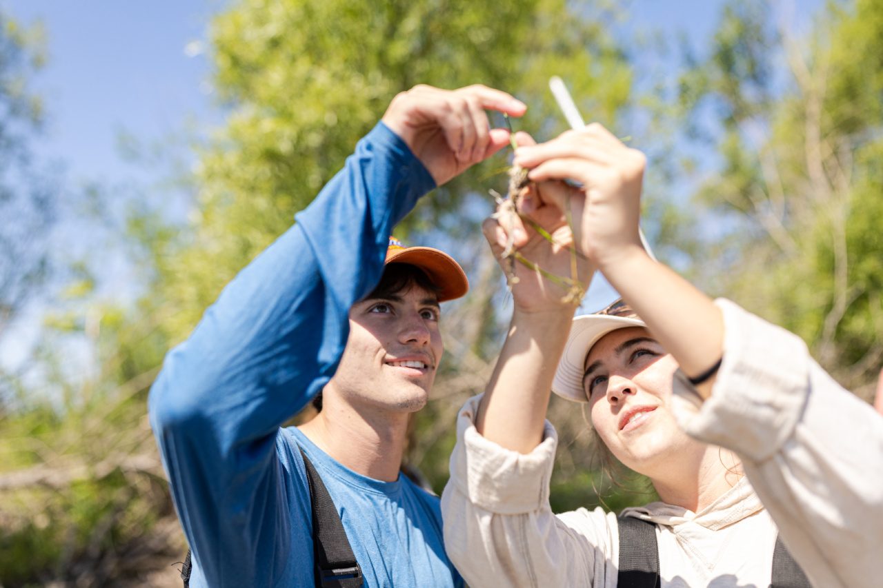 Two Loyola University Chicago students examine a plant in the sunlight