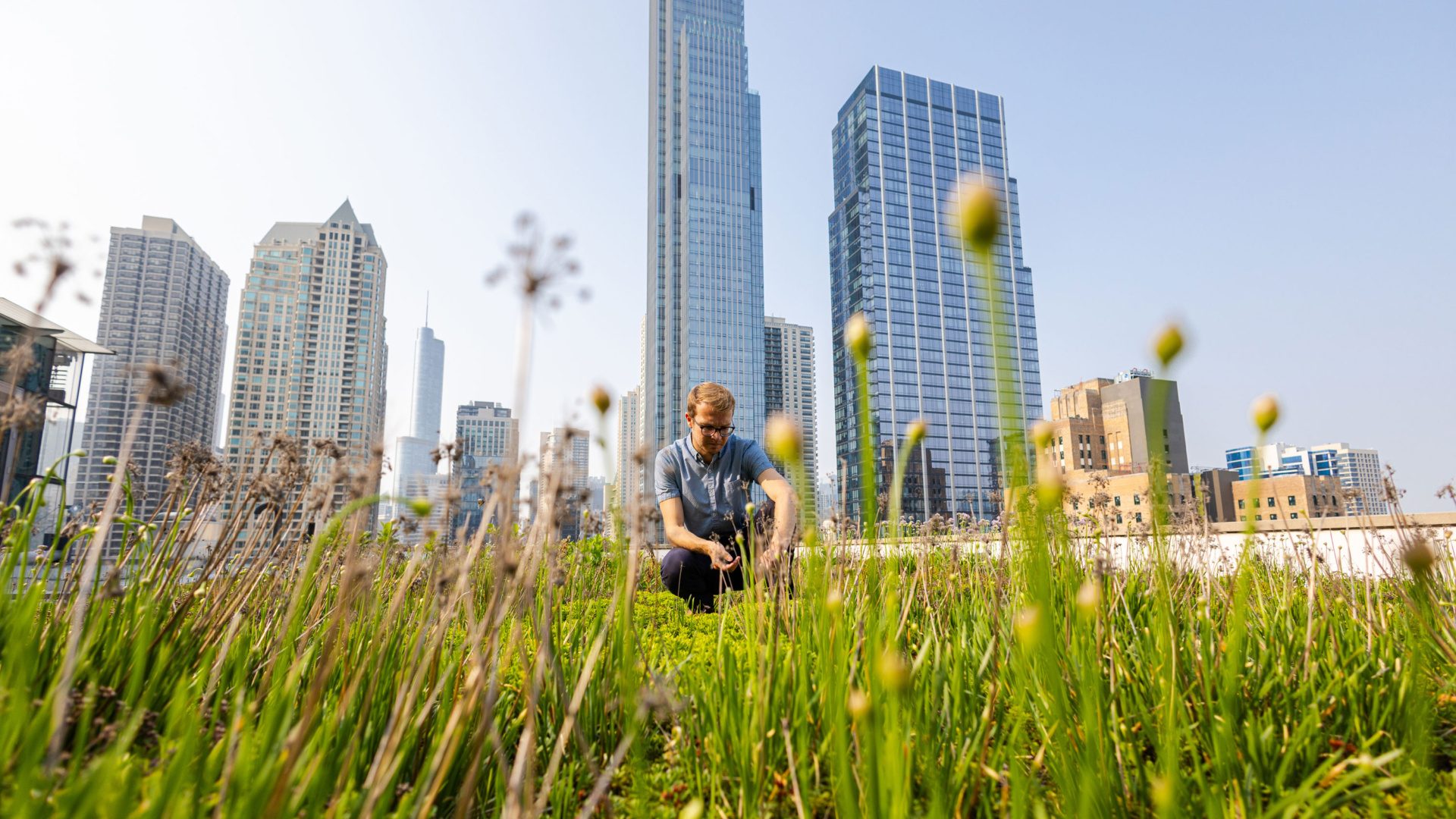 Green roofs atop buildings on Loyola's Water Tower Campus with city skyline in the background.